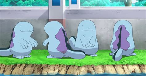 quagsire v|quagsire nicknames.